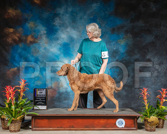 SSR_1776-SanAntonio2019-HR3