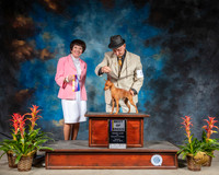 Miniature Pinscher #5 Sun BOB Judge Barbara Alderman