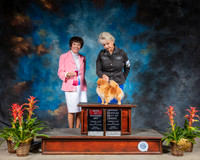 Pomeranian #18 Sun BOS Judge Barbara Alderman
