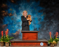 Norfolk Terrier #16 Sun CUSTOM
