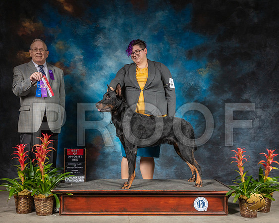 SSR_2008-SanAntonio2019-HR3