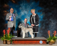 Pumik #6 Sun WB Judge Donald Gill