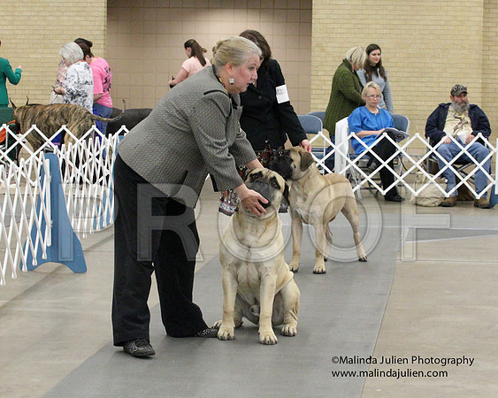 6-9PupSweeps-8456