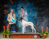 Pointer #5 Thurs BIS OH Judge Edd Bivin RESHOOT