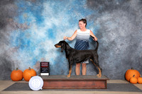 Black And Tan Coonhound #8 Sun G2 Judge Tim Catterson