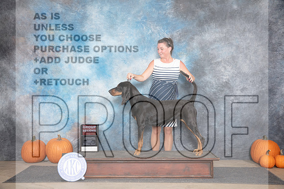 Black And Tan Coonhound #8 Sun G2 Judge Tim Catterson__JP_9652_Humble_2024_HR3