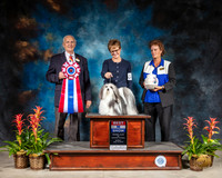 Havanese #5 Sun BIS Judge Robert Shreve