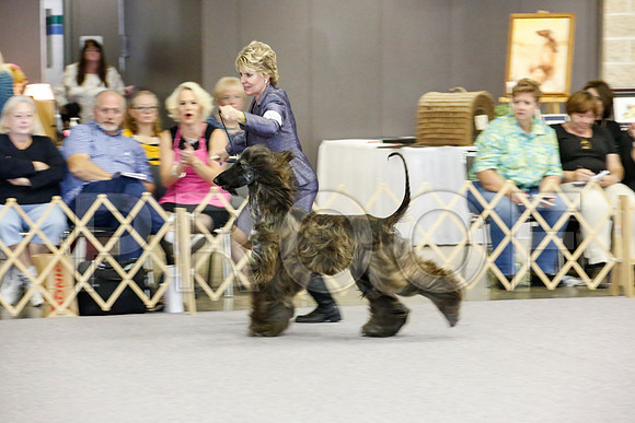 _JJ_0411-AfgBeltonOct2014-HR3