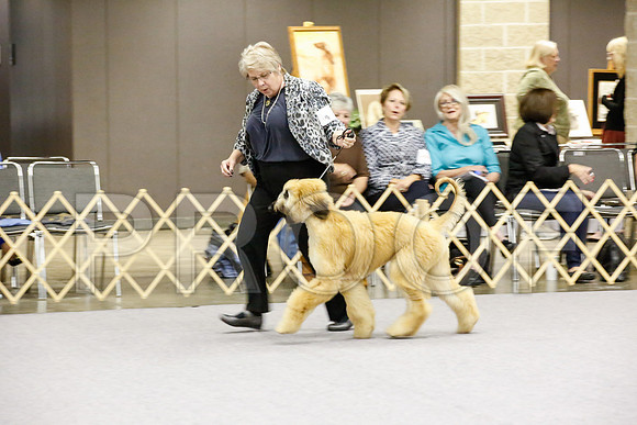 _JJ_8569-AfgBeltonOct2014-HR3