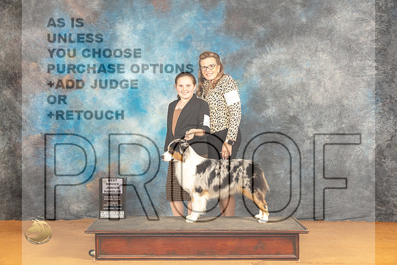 Australian Shepherd #J6 Sat Jr1st Judge Dr Steve Keating_JP_0102_Glen Rose_2024_HR3