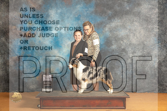 Australian Shepherd #J6 Sat Jr1st Judge Dr Steve Keating_JP_0104_Glen Rose_2024_HR3
