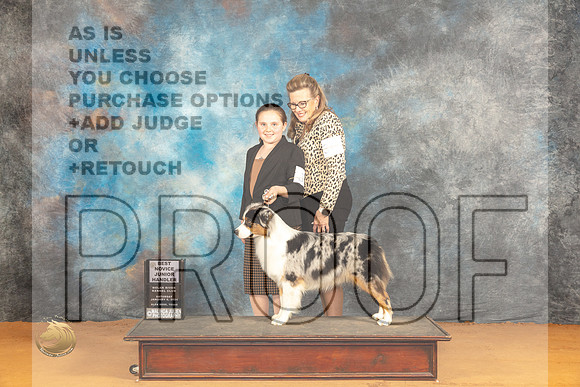 Australian Shepherd #J6 Sat Jr1st Judge Dr Steve Keating_JP_0105_Glen Rose_2024_HR3