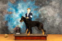 Beauceron #J101 Sat Jr2nd Judge Dr Steve Keating