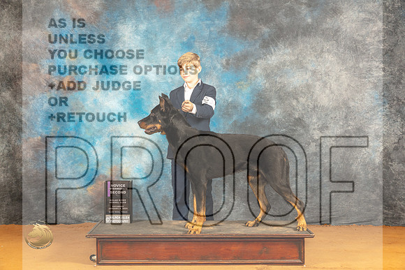 Beauceron #J101 Sat Jr2nd Judge Dr Steve Keating_JP_0027_Glen Rose_2024_HR3