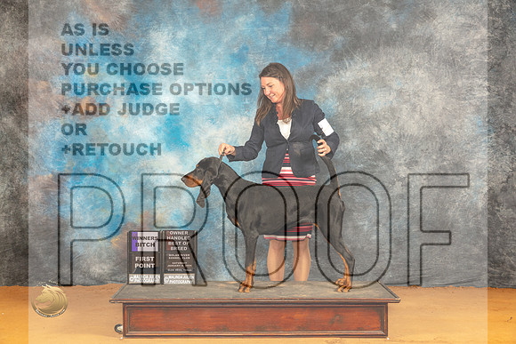 Black and Tan Coonhound #8 Sat WBOHBOB Judge Angela Pickett_JP_0020_Glen Rose_2024_HR3