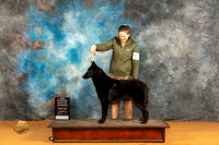 Belgian Shepherd #8 Sat WBBOWCH Judge Edy Dykstra-Blum