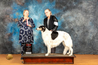 Borzoi #26 Sat BOS Judge Robin Casey