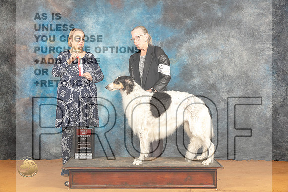Borzoi #26 Sat BOS Judge Robin Casey_JP_9802_Glen Rose_2024_HR3