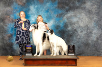Borzoi #46 #23 Sat BOWBOB Judge Robin Casey