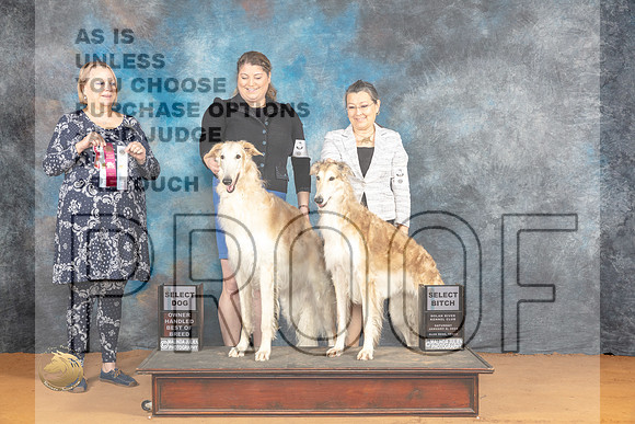 Borzoi #5 #10 Sat SB Judge Robin Casey_JP_9796_Glen Rose_2024_HR3