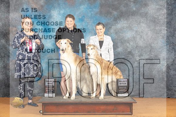 Borzoi #5 #10 Sat SB Judge Robin Casey_JP_9797_Glen Rose_2024_HR3