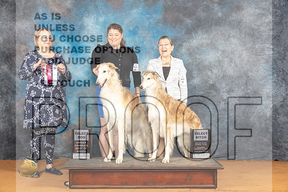 Borzoi #5 #10 Sat SB Judge Robin Casey_JP_9799_Glen Rose_2024_HR3