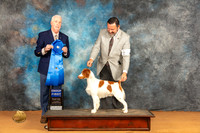 Brittany #11 Sat G1 Judge Dr Steve Keating