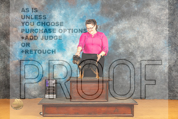 Brussels Griffonn #5 Sat WDM Judge Pat Trotter_JP_0191_Glen Rose_2024_HR3