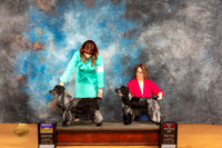 English Cocker Spaniel #5 Sat BOB Judge ?