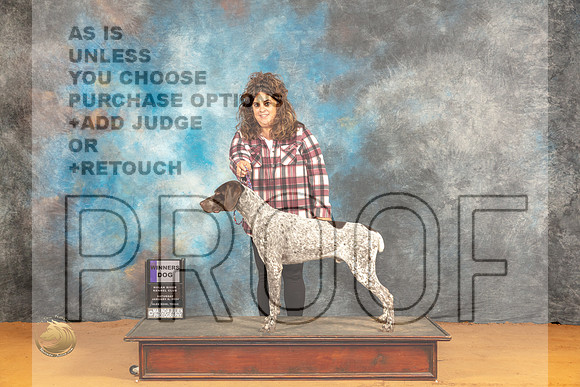 German Shorthaired Pointer #11 Sat WD Judge Dr Norbert Dee_JP_9786_Glen Rose_2024_HR3