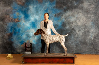 German Shorthaired Pointer #5 Sat OHBOB Judge Dr Norbert Dee
