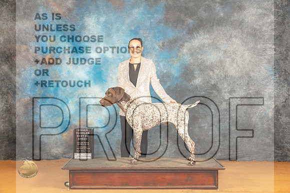 German Shorthaired Pointer #5 Sat OHBOB Judge Dr Norbert Dee_JP_0173_Glen Rose_2024_HR3