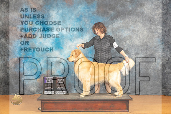 Golden Retriever #11 Sat WDOHBOB Judge Harry (Butch) H Schulman_JP_9768_Glen Rose_2024_HR3