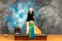 Golden Retriever #65 HC Sat
