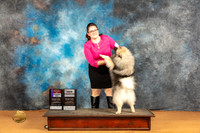 Keeshond #9 Sat WDBOSCH Judge Carolyn Herbel