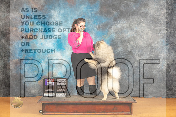 Keeshond #9 Sat WDBOSCH Judge Carolyn Herbel_JP_0153_Glen Rose_2024_HR3