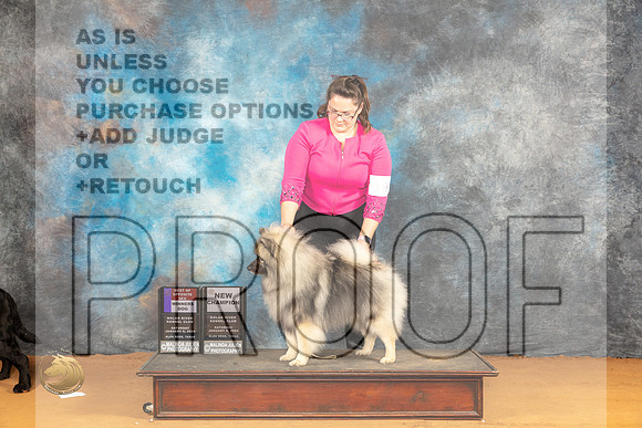 Keeshond #9 Sat WDBOSCH Judge Carolyn Herbel_JP_0156_Glen Rose_2024_HR3