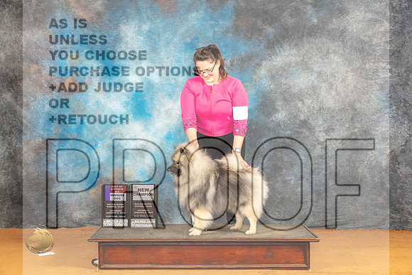 Keeshond #9 Sat WDBOSCH Judge Carolyn Herbel_JP_0161_Glen Rose_2024_HR3
