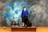 Labrador Retriever #17 Sat WDBOSCH  Judge Desmond Murphy r