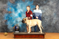 Mastiff #17 Sat 6-91st Judge Dr Steve Keating