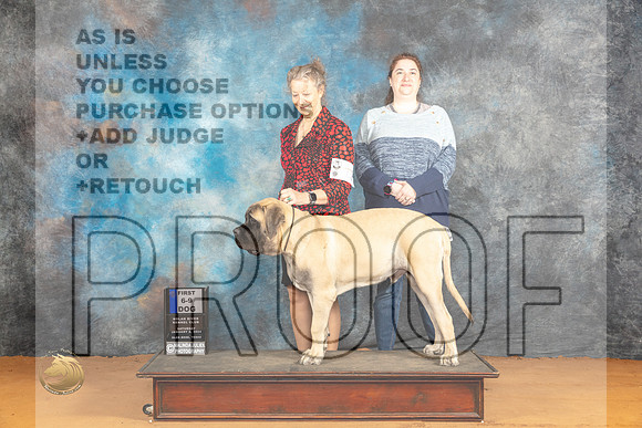 Mastiff #17 Sat 6-91st Judge Dr Steve Keating_JP_9680_Glen Rose_2024_HR3