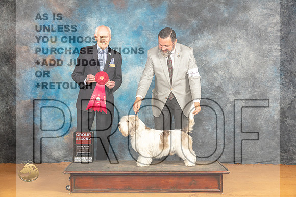 PBGV #5 Sat G2 Judge Dr Norbert Dee_JP_0134_Glen Rose_2024_HR3