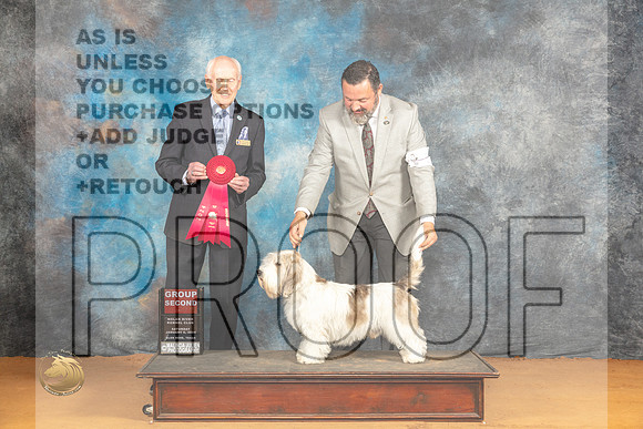 PBGV #5 Sat G2 Judge Dr Norbert Dee_JP_0135_Glen Rose_2024_HR3