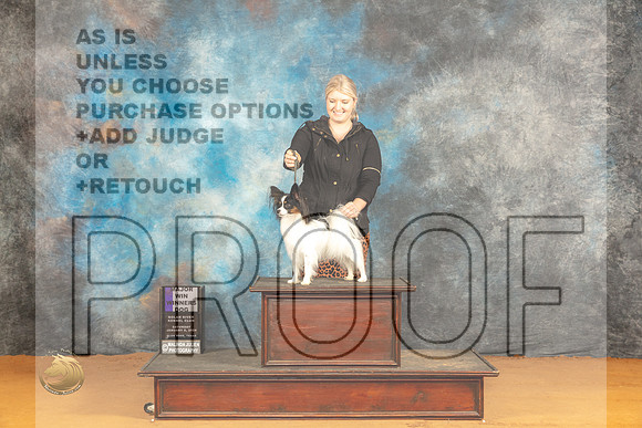 Papillon #11 Sat WDM Judge Pat Trotter_JP_0092_Glen Rose_2024_HR3