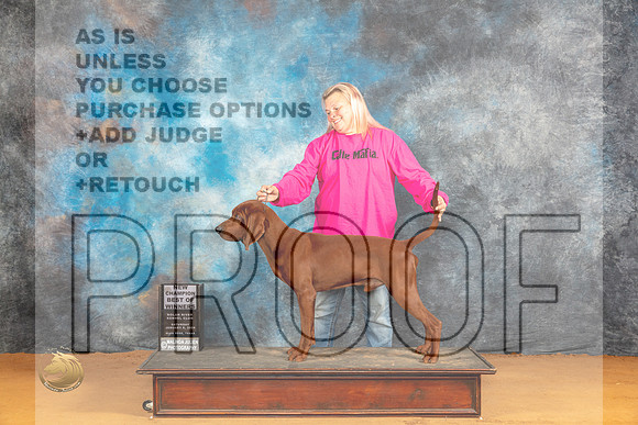Redbone Coonhound #? Sat BOWCH Judge Angela Pickett_JP_0081_Glen Rose_2024_HR3