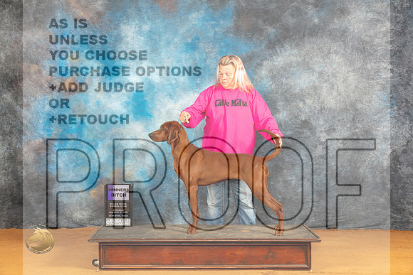 Redbone Coonhound #10 Sat WBM Judge Angela Pickett_JP_0117_Glen Rose_2024_HR3