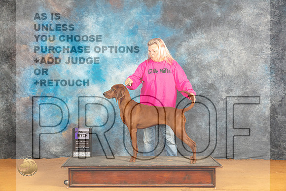Redbone Coonhound #10 Sat WBM Judge Angela Pickett_JP_0118_Glen Rose_2024_HR3