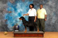 Rottweiler #12 Sat WBBOWBOBM Judge Dr Steve Keating