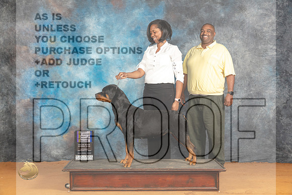Rottweiler #12 Sat WBBOWBOBM Judge Dr Steve Keating_JP_9961_Glen Rose_2024_HR3