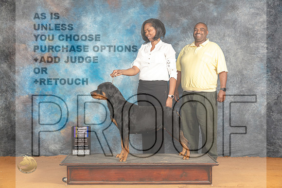 Rottweiler #12 Sat WBBOWBOBM Judge Dr Steve Keating_JP_9963_Glen Rose_2024_HR3